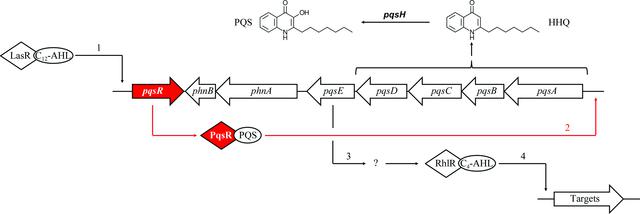 [Figure 1]