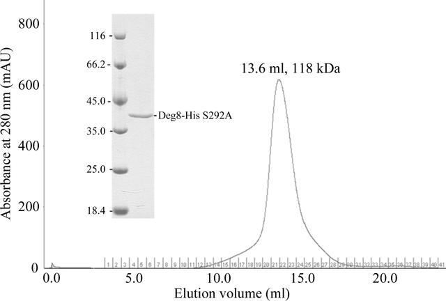 [Figure 1]