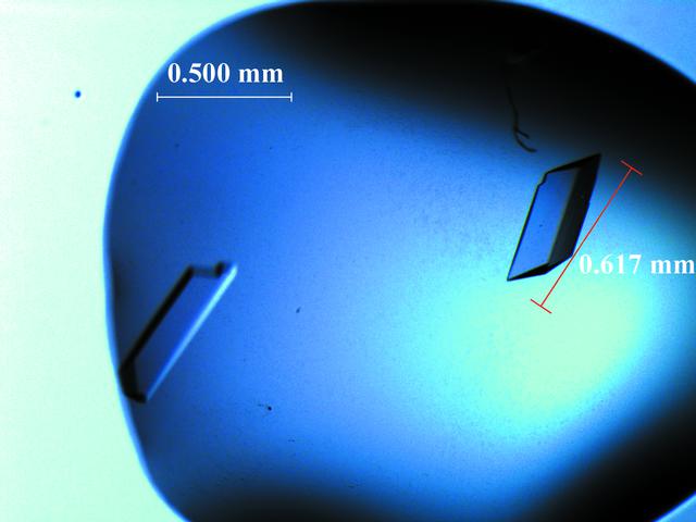 [Figure 2]
