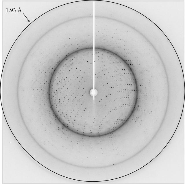 [Figure 3]