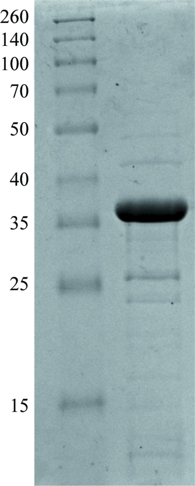 [Figure 1]