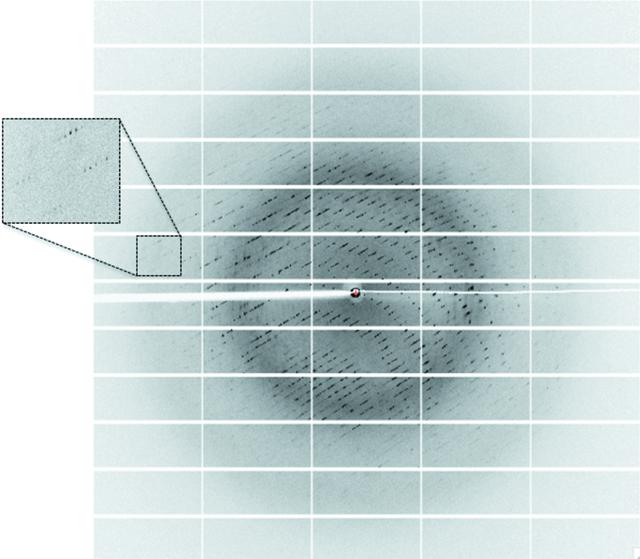 [Figure 3]