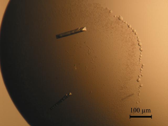 [Figure 3]