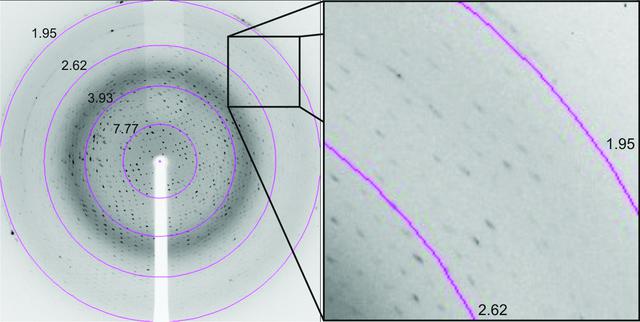 [Figure 2]