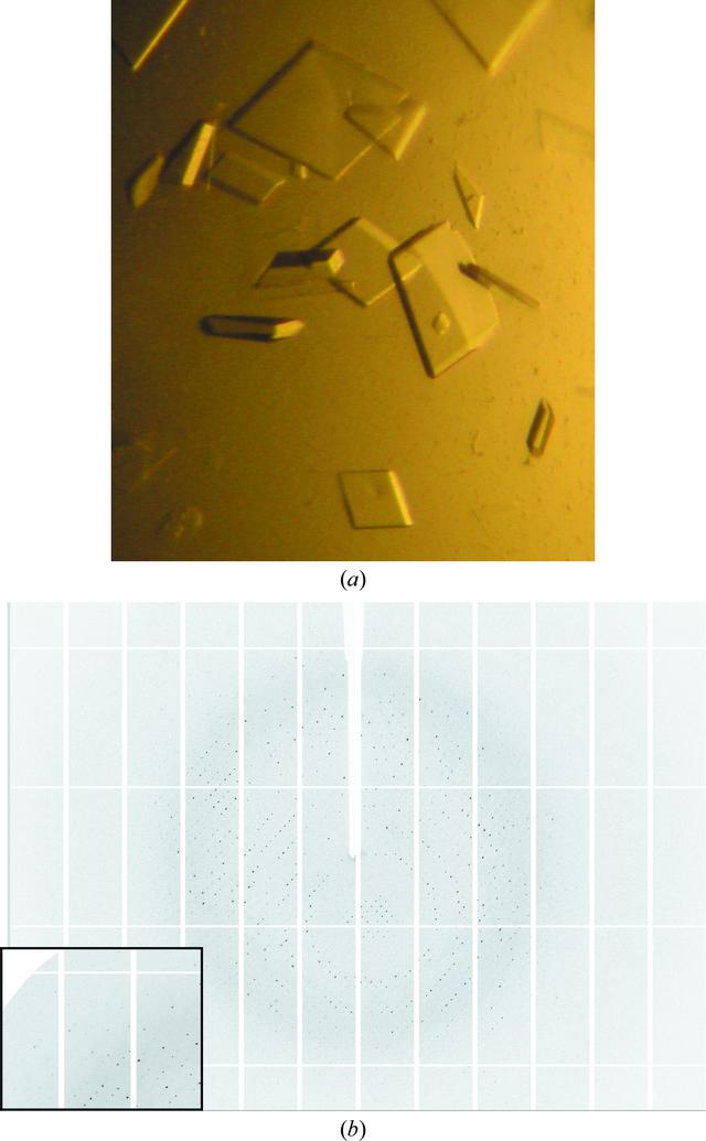 [Figure 1]