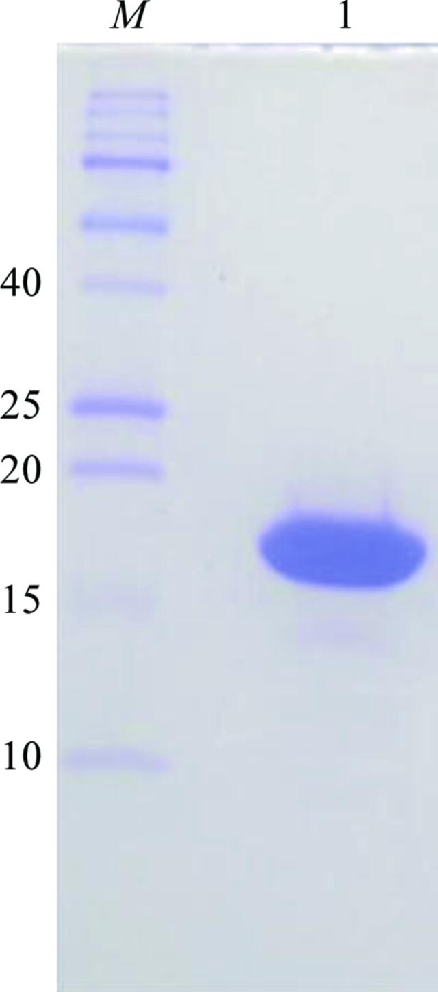[Figure 1]