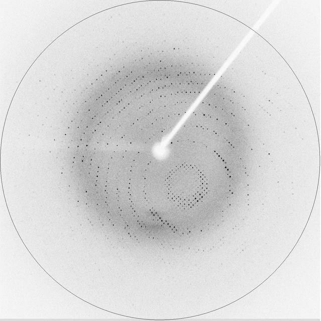 [Figure 2]