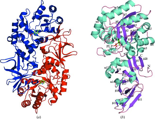 [Figure 1]
