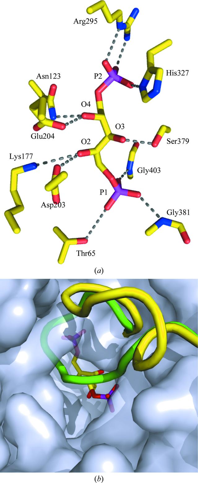 [Figure 4]