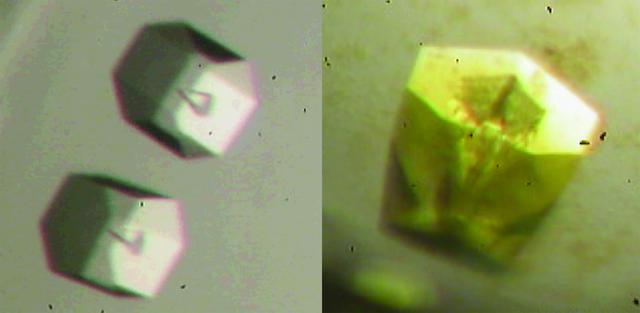 [Figure 1]