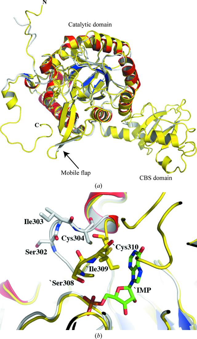 [Figure 2]