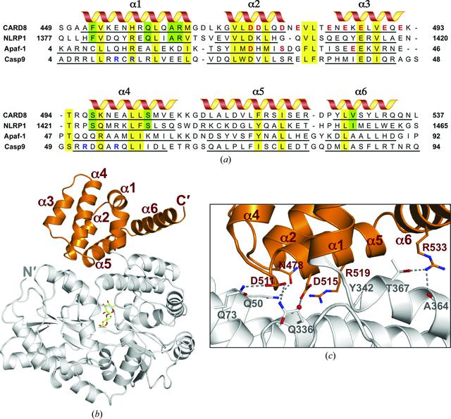 [Figure 1]