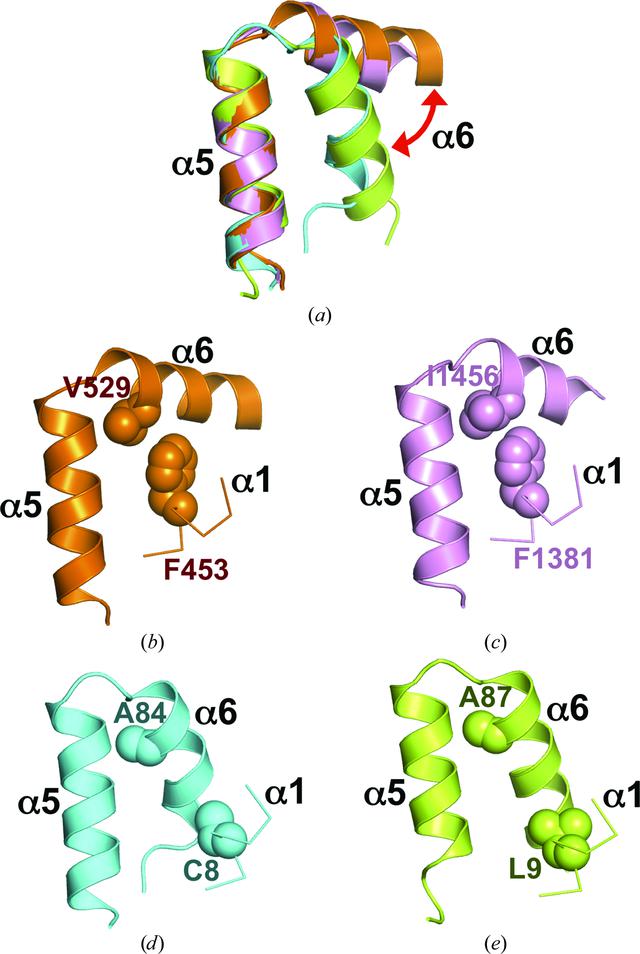 [Figure 3]