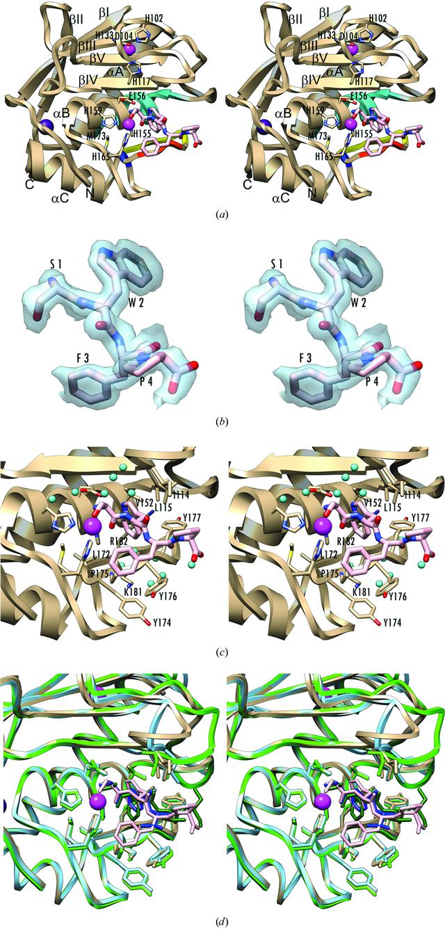 [Figure 1]