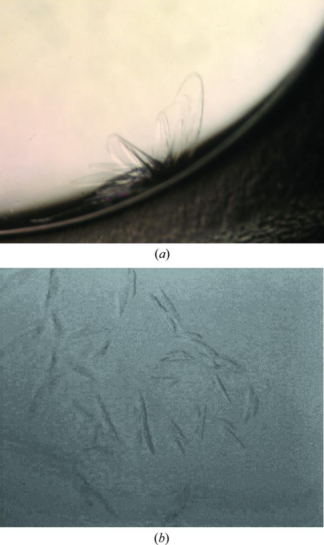 [Figure 3]