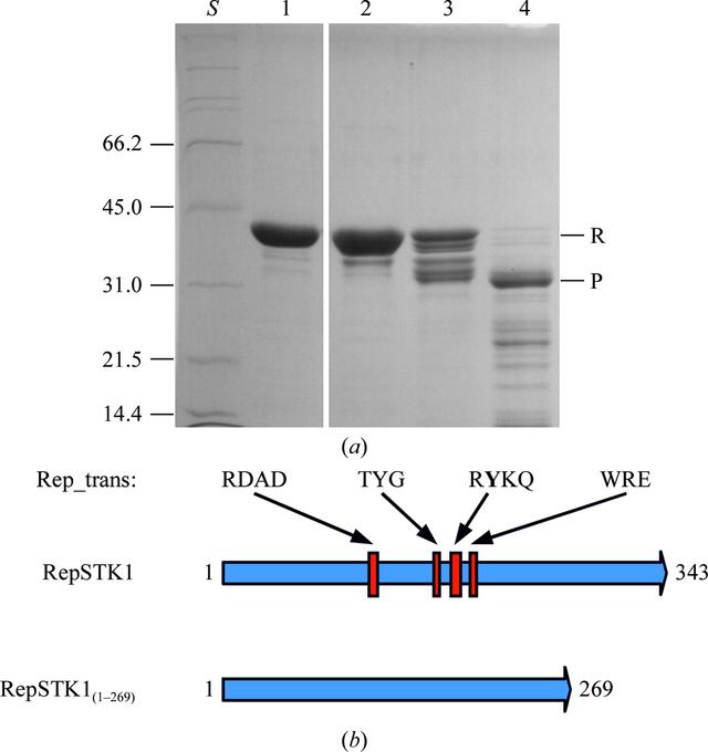 [Figure 1]