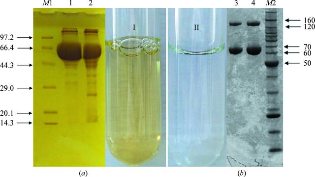 [Figure 2]