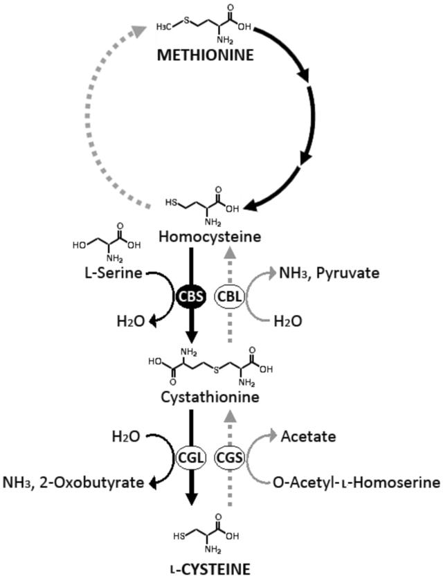 [Figure 1]