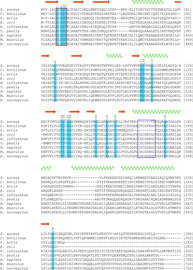 [Figure 6]