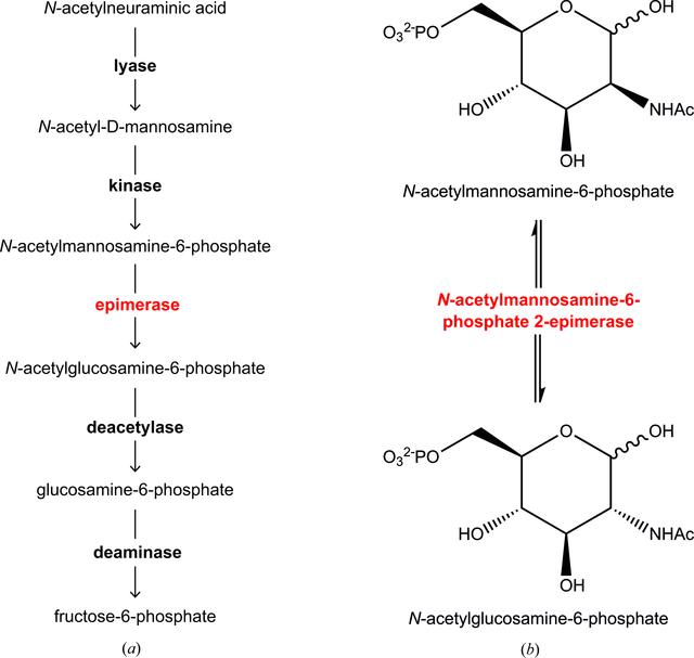 [Figure 1]