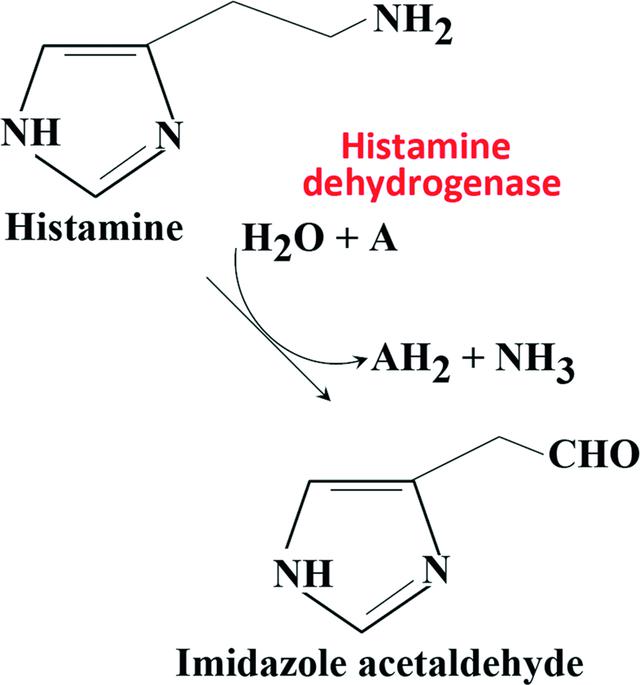 [Figure 1]