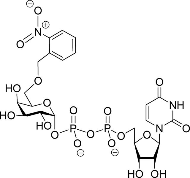 [Figure 1]