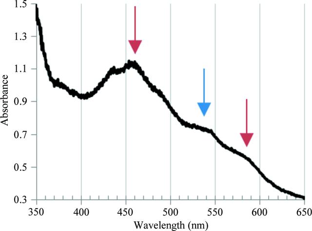 [Figure 4]