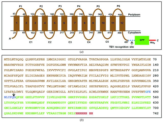 [Figure 1]