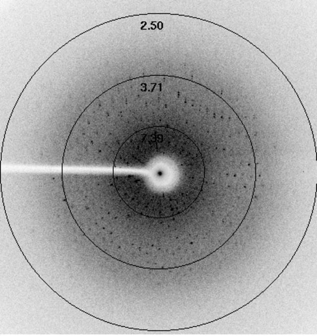 [Figure 3]