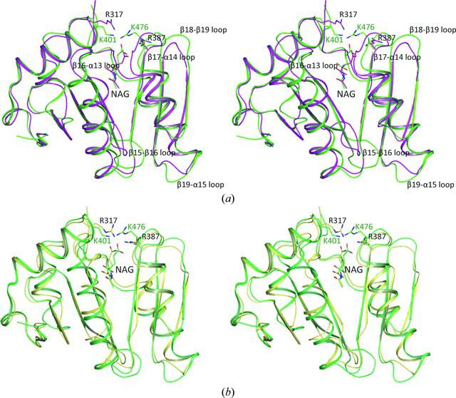 [Figure 7]