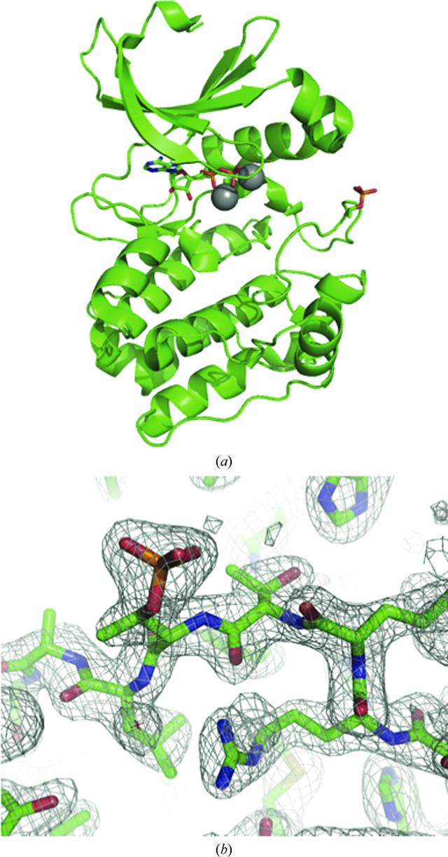 [Figure 1]