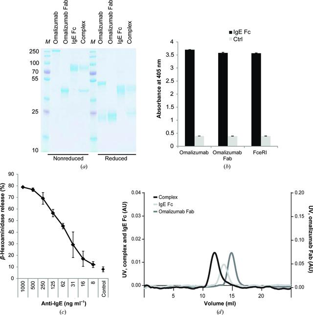 [Figure 1]