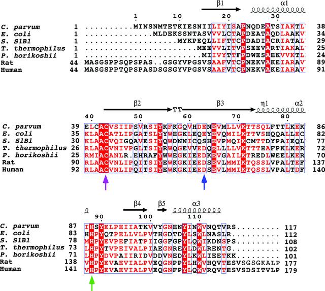 [Figure 2]