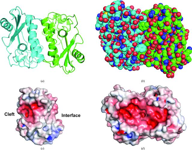 [Figure 4]