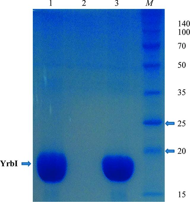 [Figure 1]