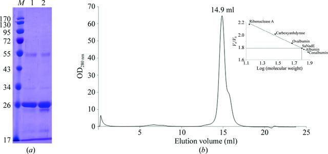 [Figure 2]