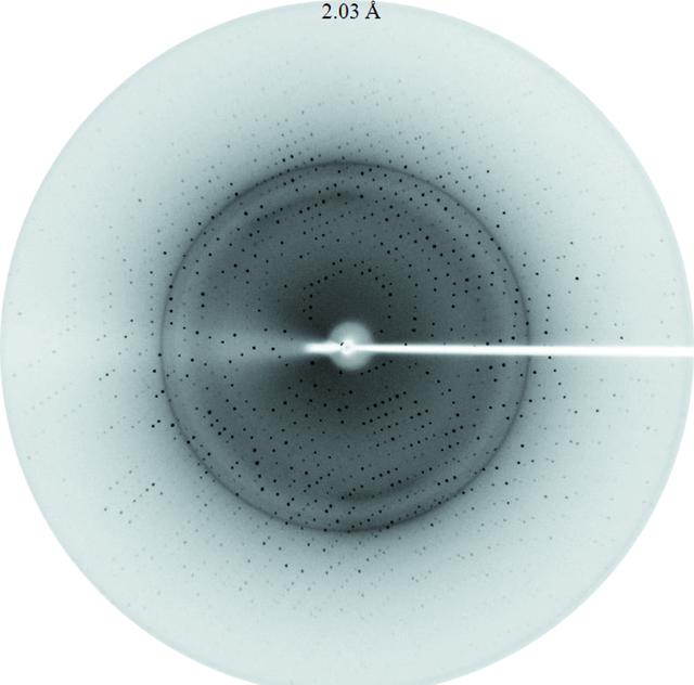 [Figure 4]