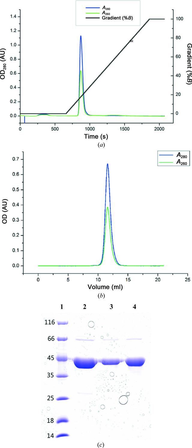 [Figure 1]