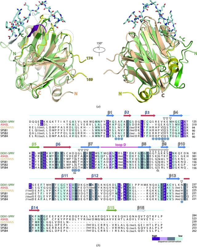 [Figure 6]