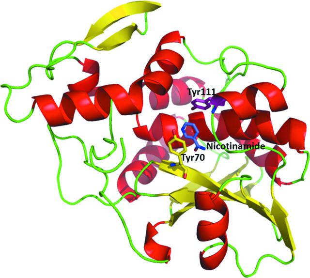 [Figure 2]