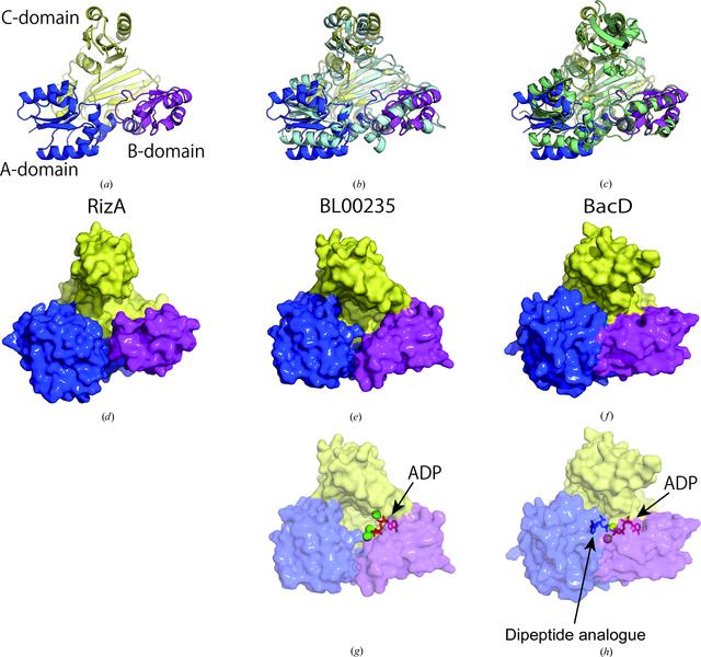 [Figure 2]