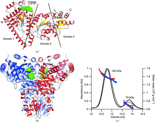 [Figure 1]