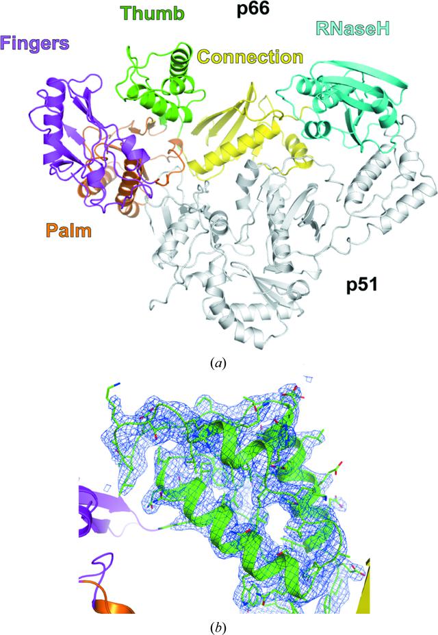 [Figure 1]