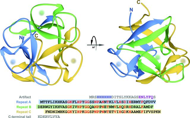 [Figure 4]