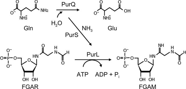 [Figure 1]