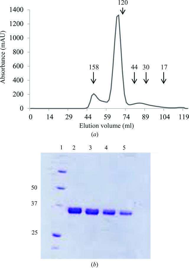 [Figure 3]