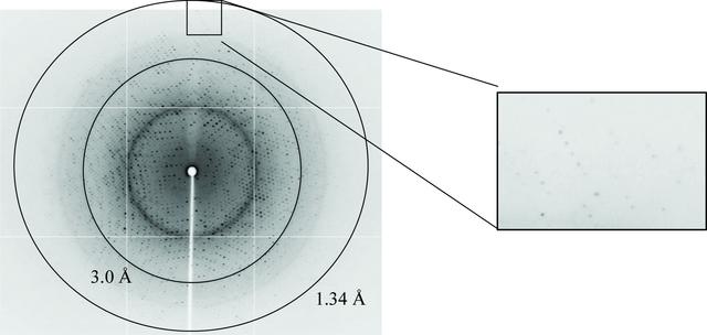 [Figure 4]