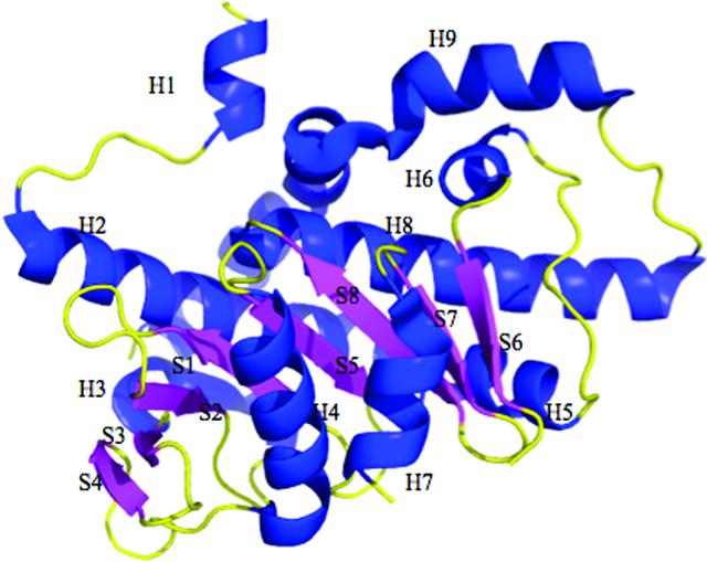 [Figure 5]