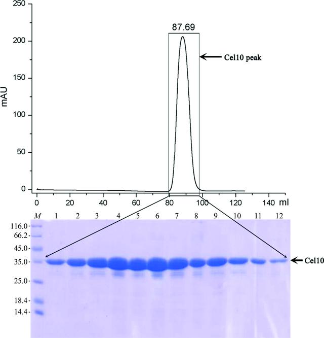 [Figure 1]