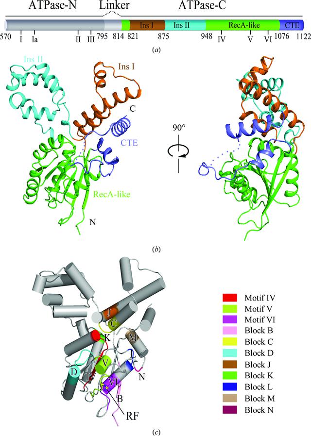 [Figure 1]